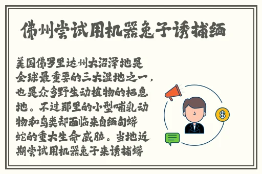 国产卡一卡二卡三无线乱码新